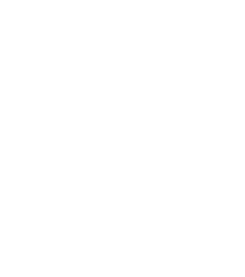 VIRUS DANCER STUDIO